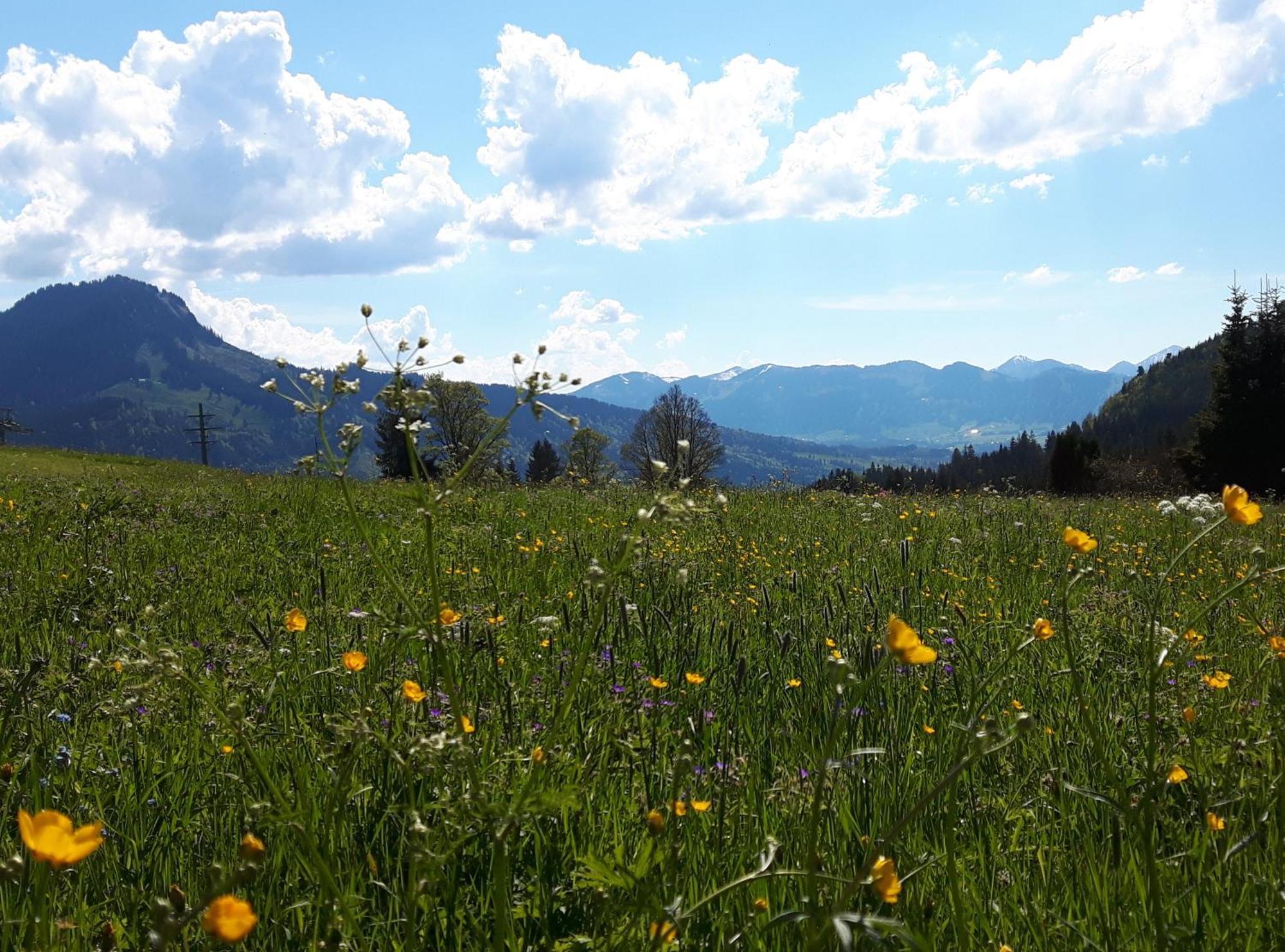 Alpengasthof Loewen 3* Bad Hindelang
